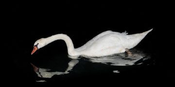 אל תיקחי ללב