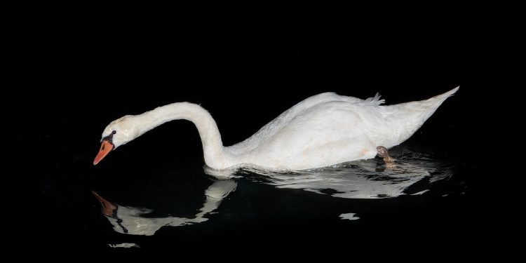 אל תיקחי ללב