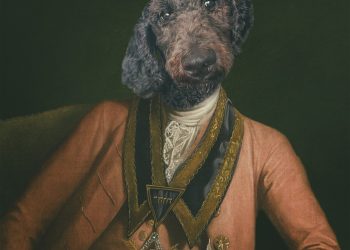 האשה והפודל