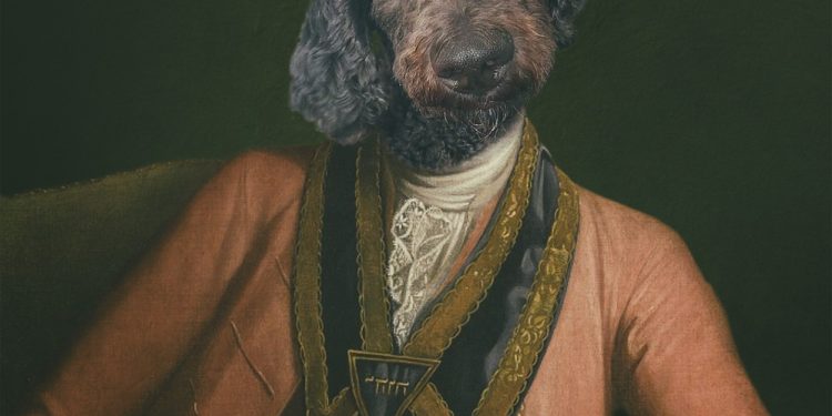 האשה והפודל